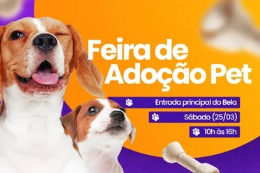 Feira de Adoção Pet