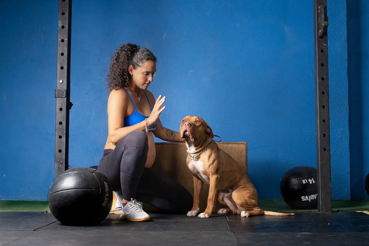 Maral Crossdog promove evento para pets e tutores no Shopping Bela Vista