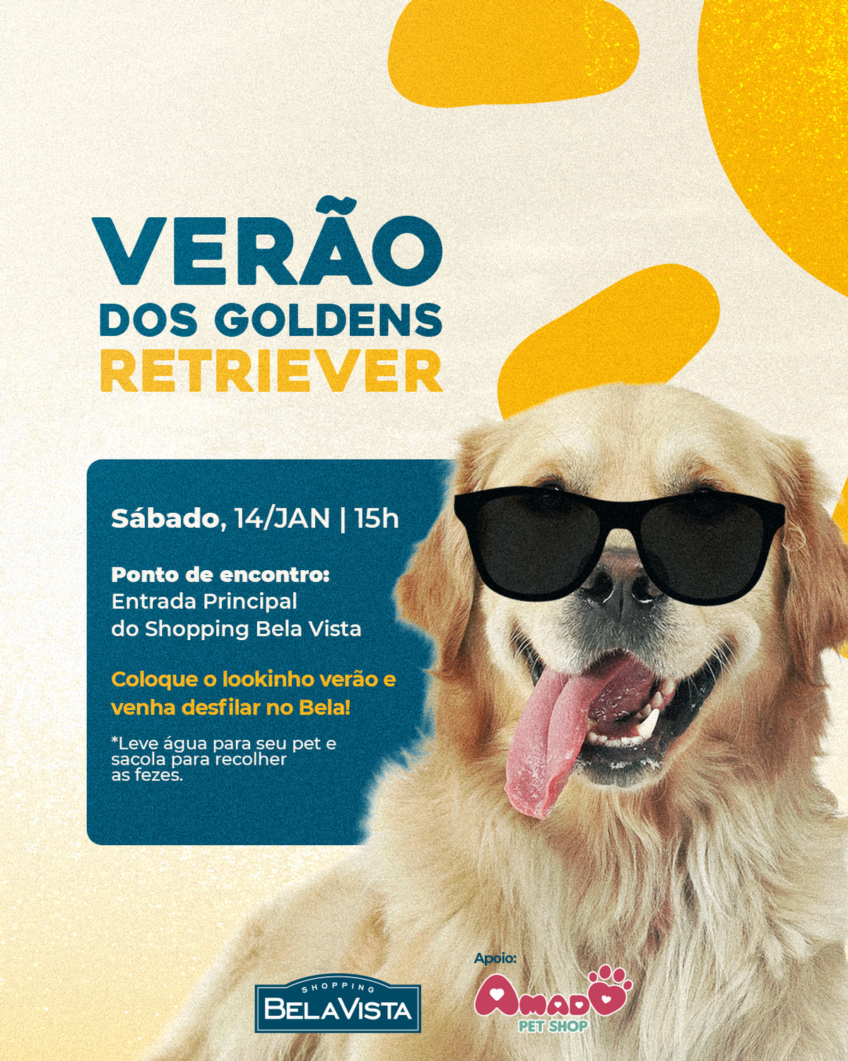 Shopping Bela Vista realiza encontro de Goldens Retriever neste sábado (14)