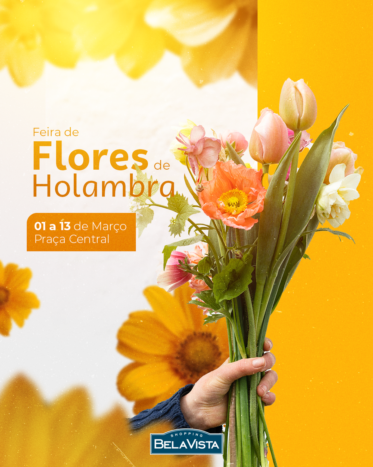 Shopping Bela Vista recebe Feira de Flores de Holambra a partir desta quarta (01/03)